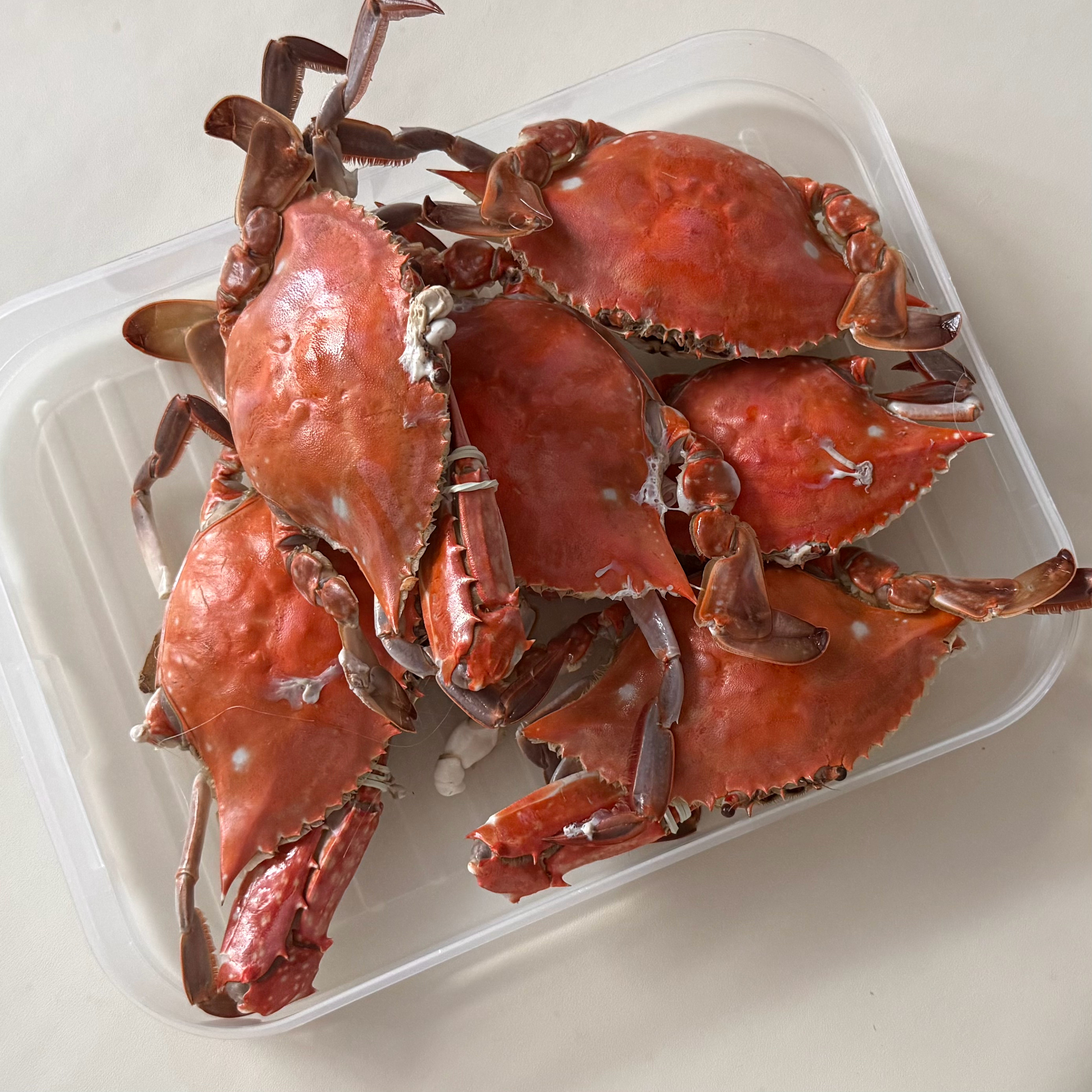 开海之后每天就这样吃 
