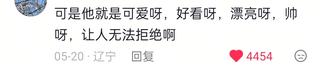 上班忙疯了就这样延迟欣赏 