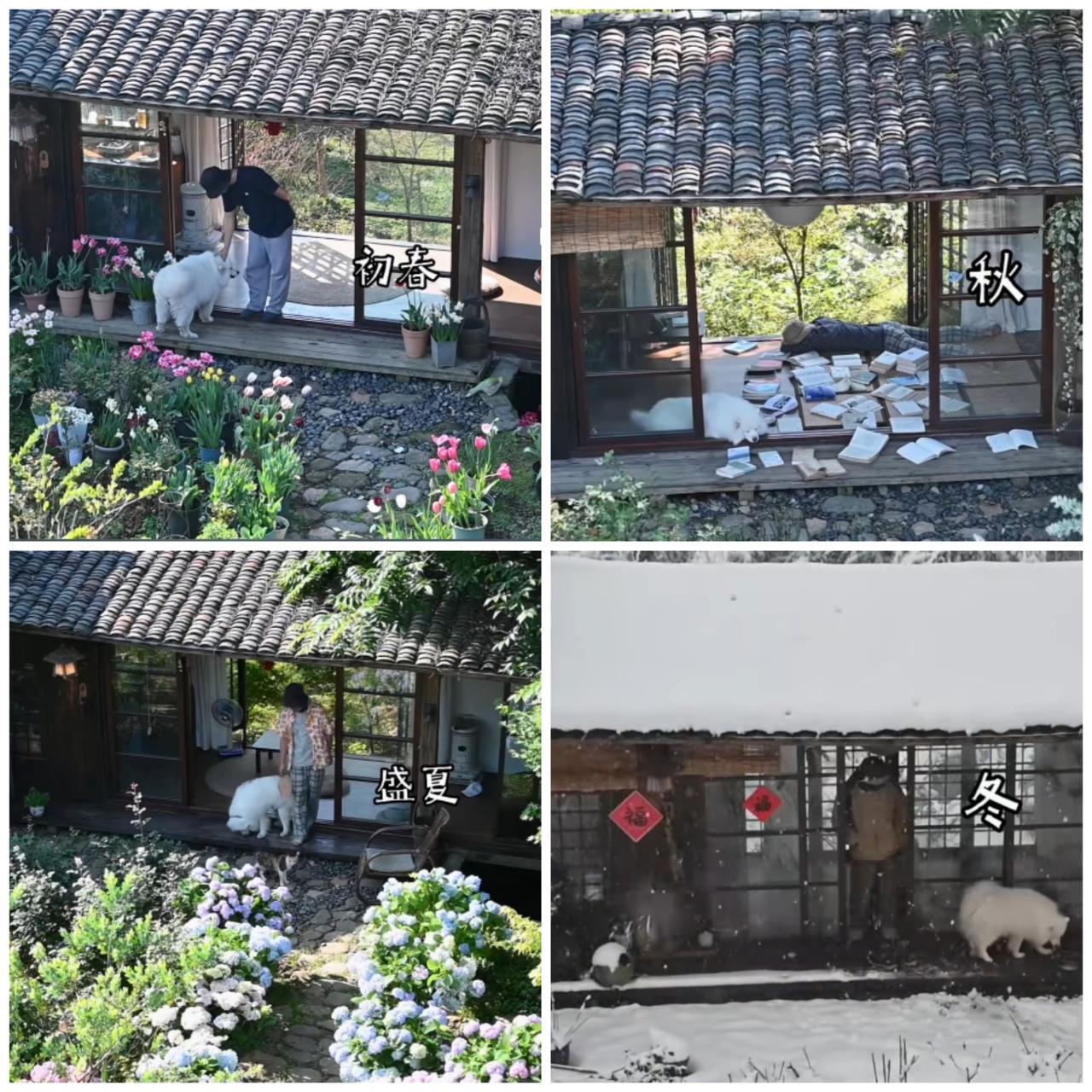 三餐，四季，读书，喂狗，养花！
小院不大，四季分明！
有春意浓浓，
也有夏日鸣蝉