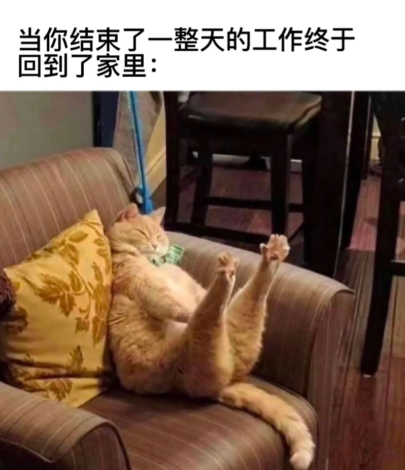 先伸个懒腰#今日memes# //#我的春日狂欢日记# ​​​