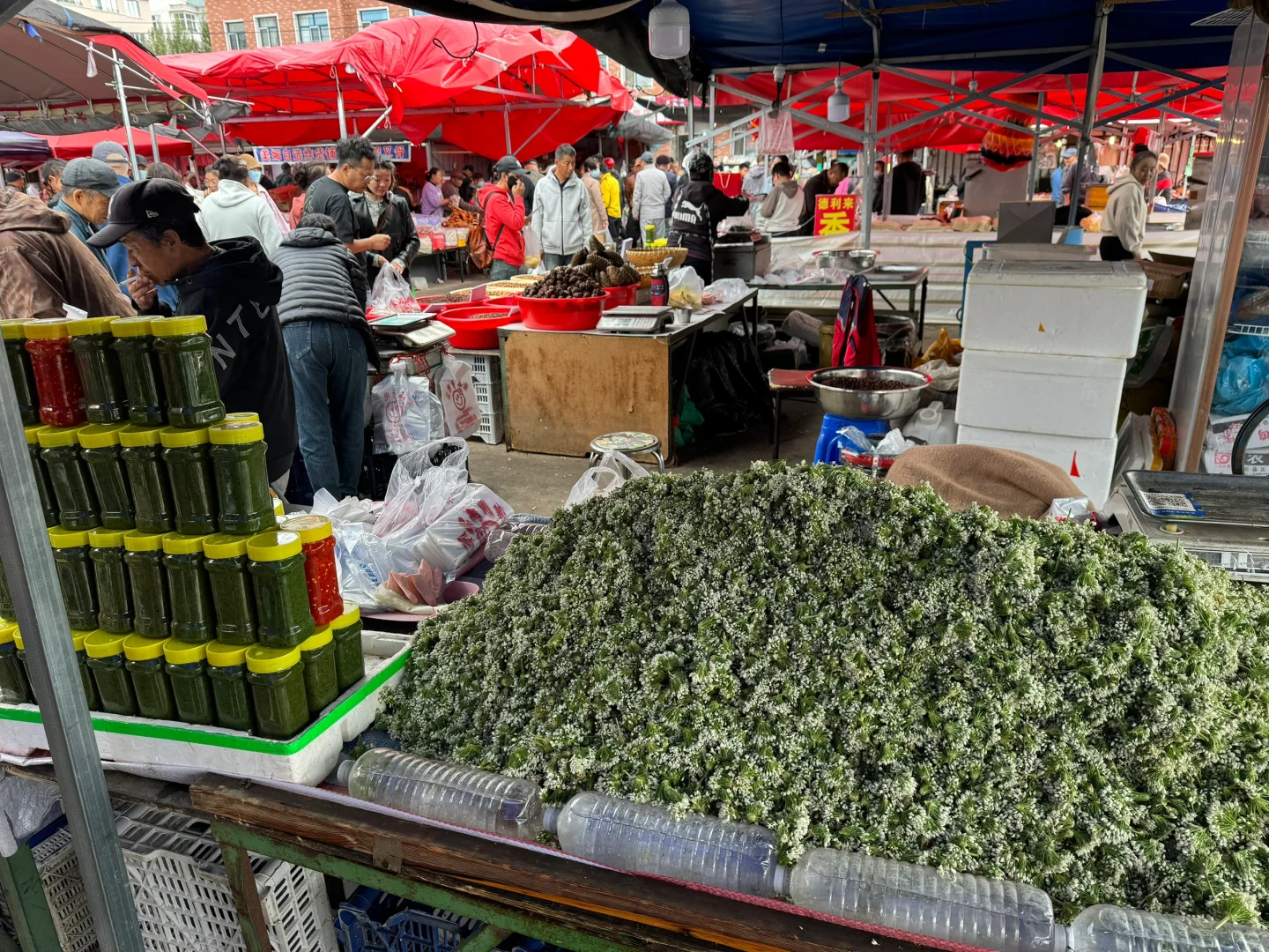 没有人能空着手走出河西早市💕