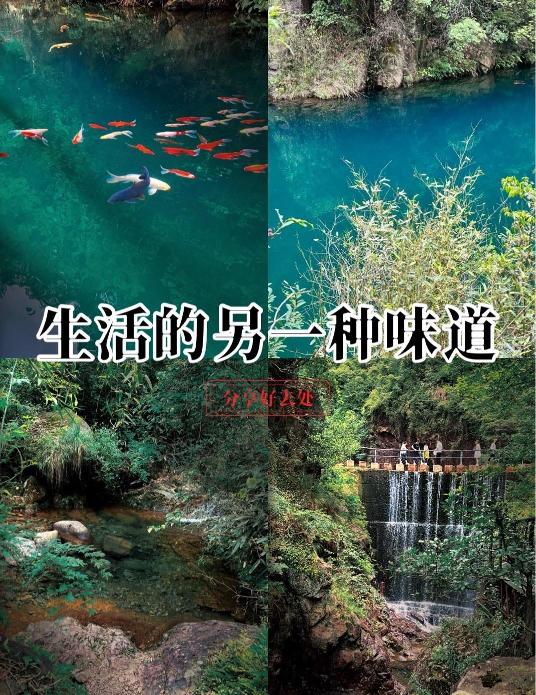 大奇山国家森林公园 | 都市近郊的山水秘境
📍北京 大奇山国家森林公园
城市向