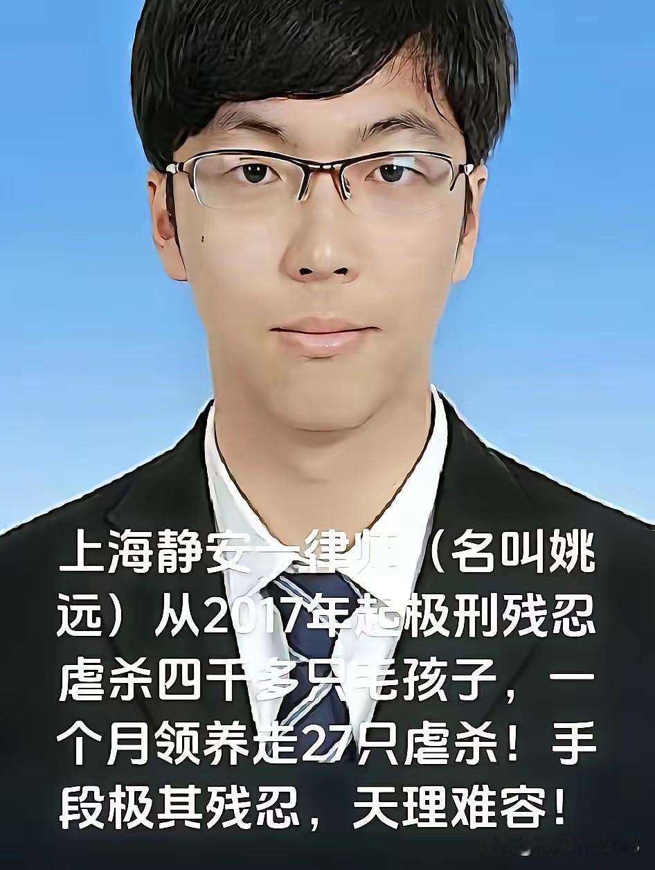 你能想象吗？斯文律师竟是虐猫狂魔，4000只猫咪惨死刀下换钱！法律漏洞让暴行猖獗