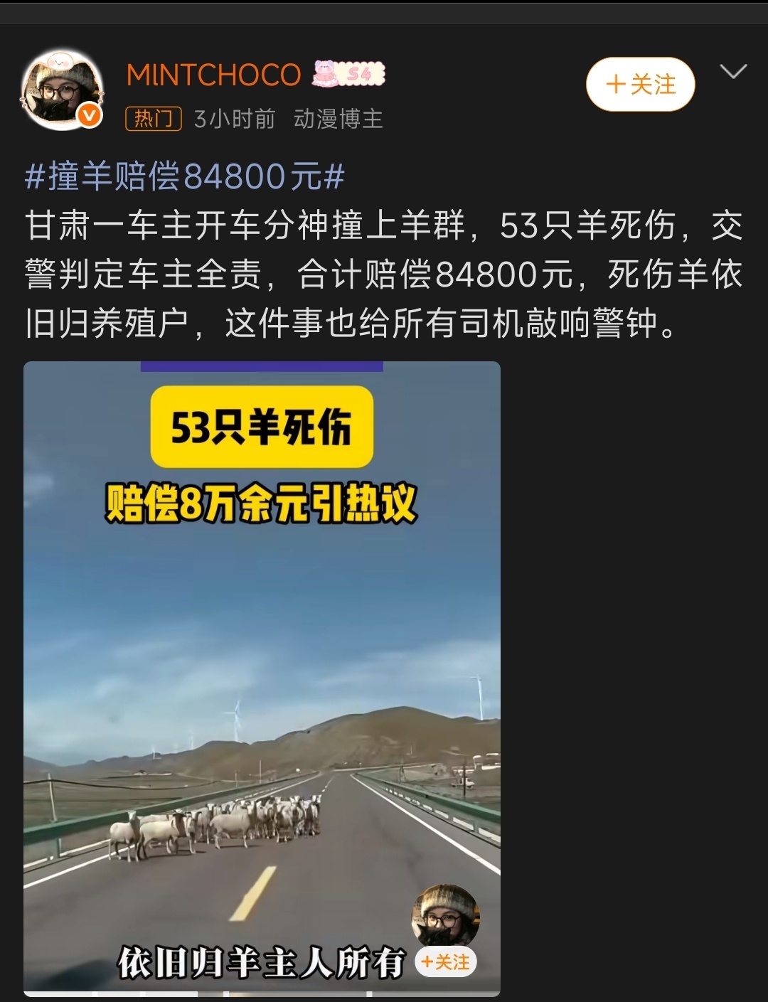 撞羊赔偿84800元既然把羊赶到公路上，被撞死之后还能照价赔偿，羊肉还不用被带走