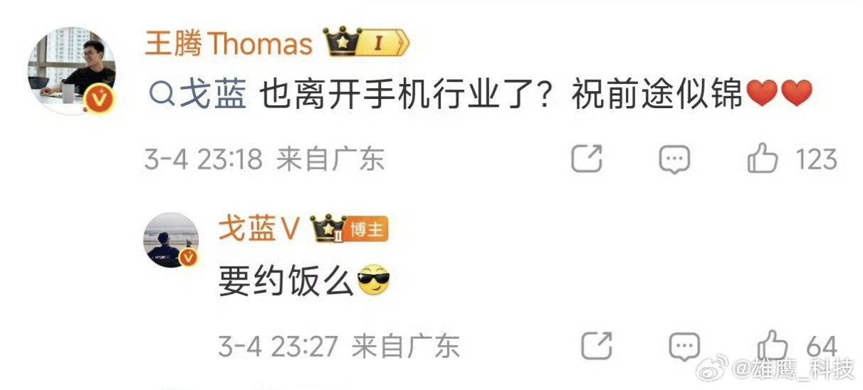 王腾问戈蓝也离开手机行业了  王腾现在也是用人之际，猜，他们会不会走到一起呢？ 