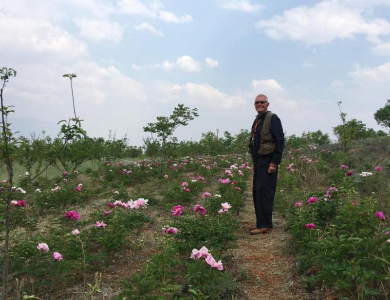 说起来比利时前驻华大使奈斯，真挺有意思。人家干完大使就没回欧洲、也没去土耳其继续