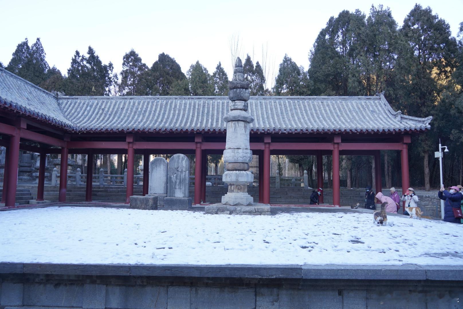 岽游记  神通寺还留有很多曾经的寺庙构件，以及历代高僧的塔林和别处迁来的汉画像石
