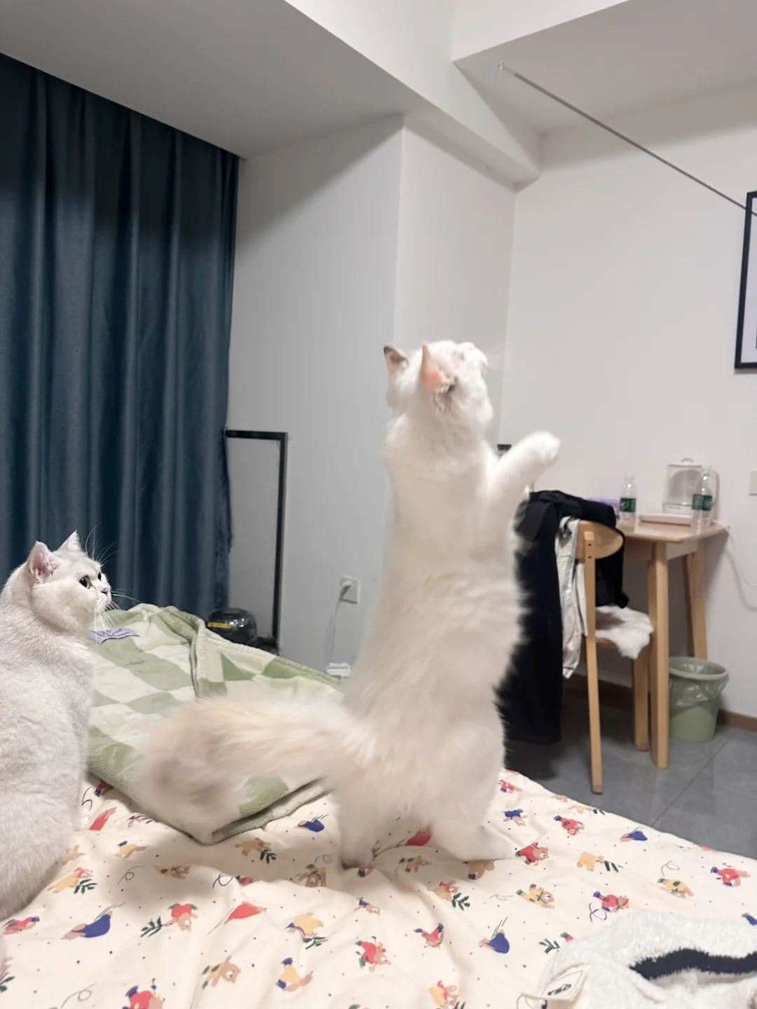 不知道，咪的身材很曼妙！