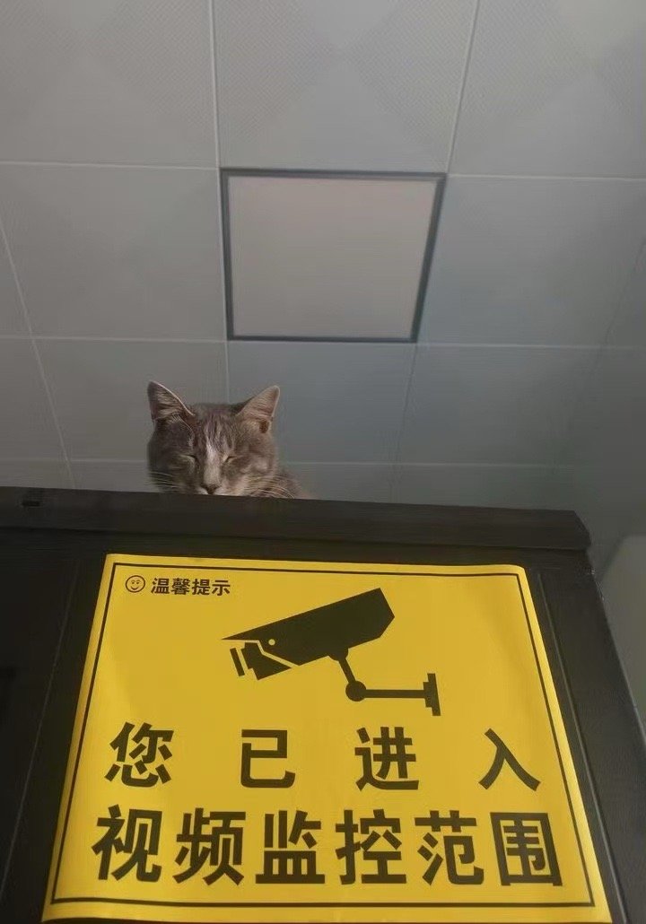 请保持微笑 ​​​