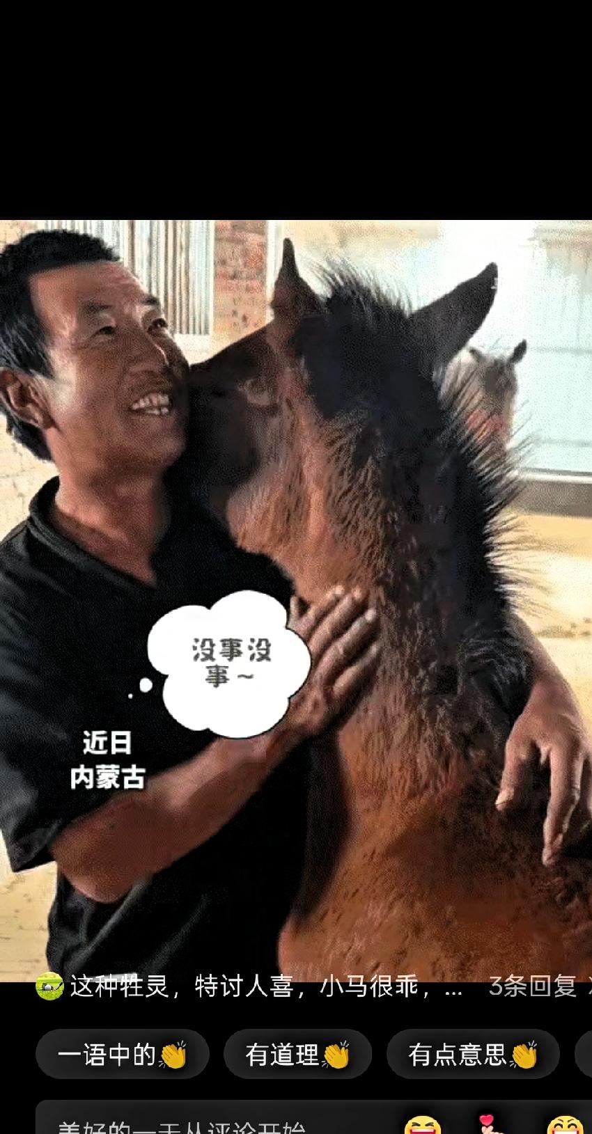 内蒙古一位兽医上门给刚出生不久的小马打疫苗。整个过程很顺利，小马没怎么挣扎。接种