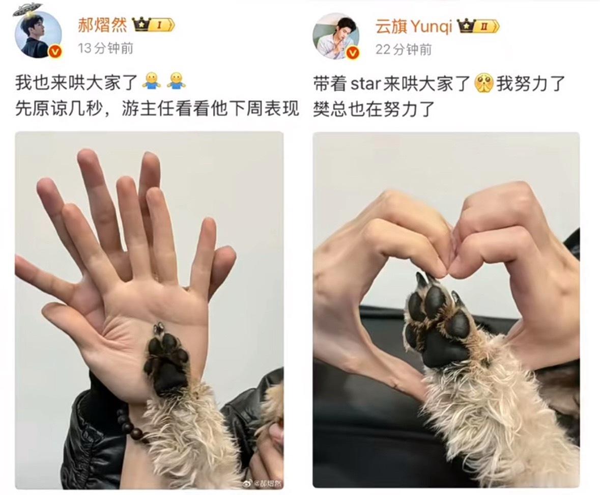这不是会哄人吗 