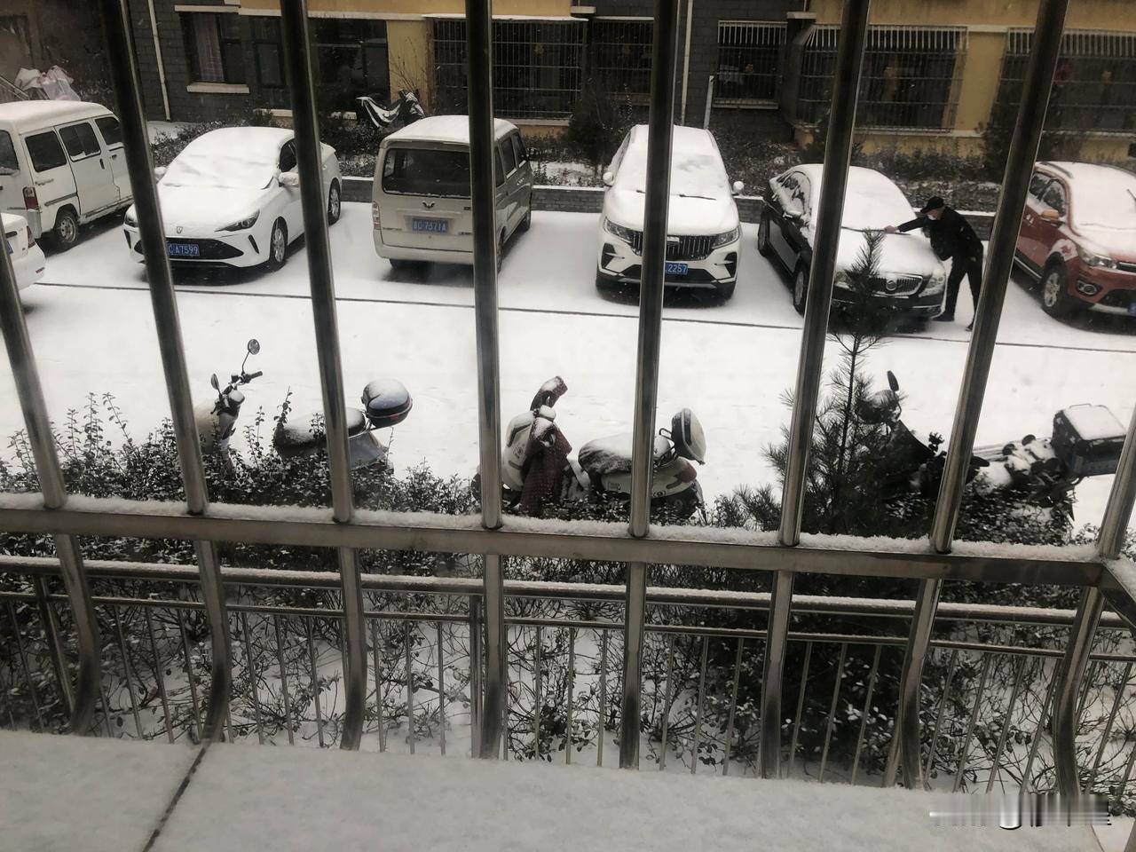 一场蓄谋已久的大雪，
如约而至，
欣喜万分 。