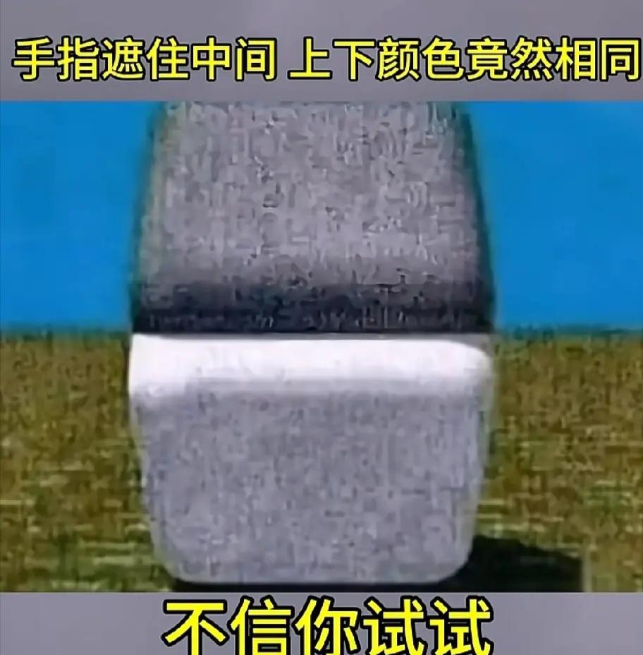 这么神奇吗？太不可思议了，我试了，真的是用手指遮住中间部分，上下颜色就相同了。