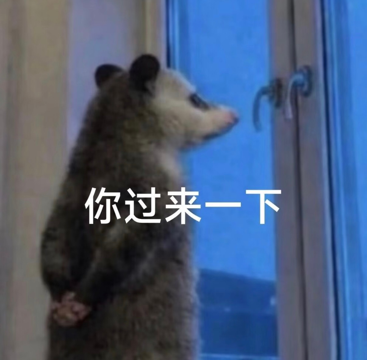 想挣快钱结果反被骗，这种事情隔段时间就上演一次，这种事情为啥不断？因为每一个人都