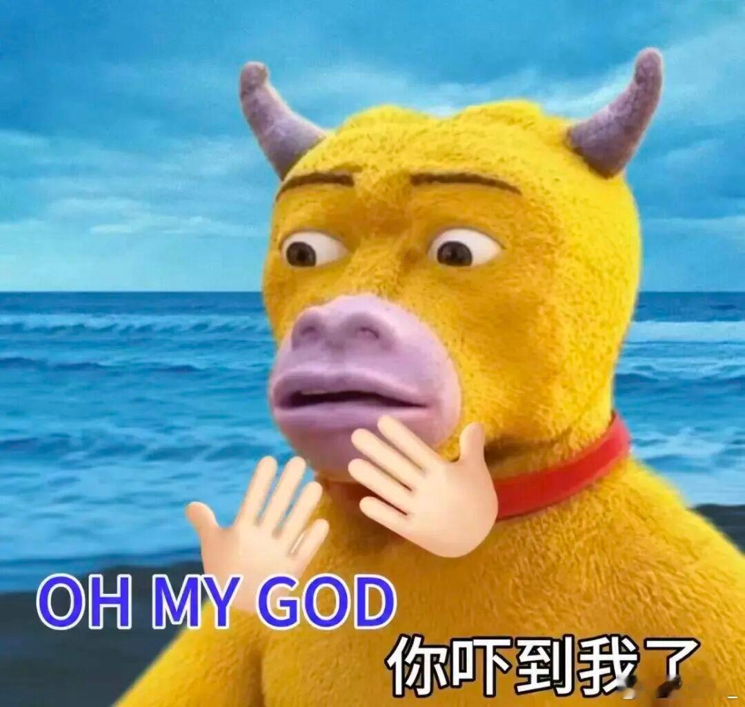 西贝被曝将彻底倒闭emm，怎么说呢要有不少人，要失业重新找工作了就最近我自己平时