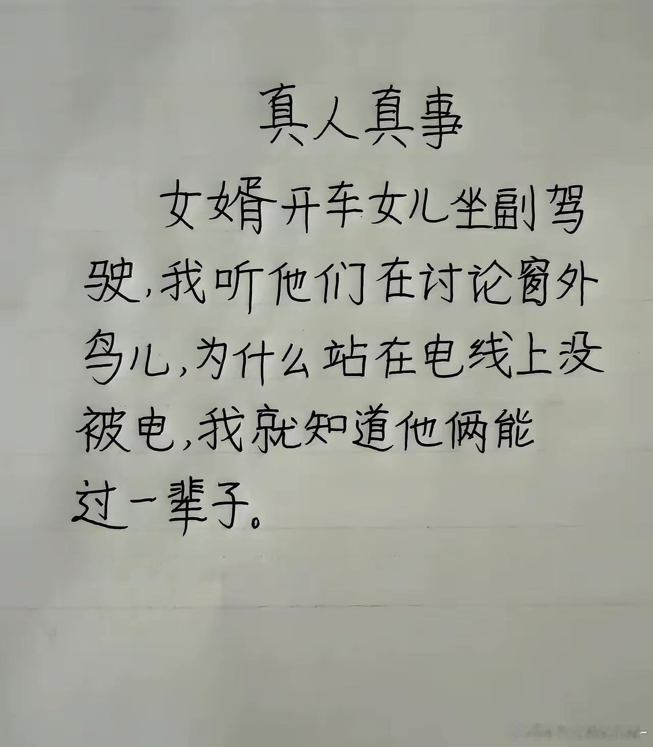 卧龙遇到雏凤了 ​​​