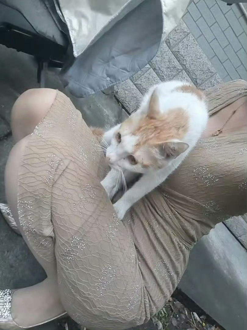 异地恋最多能撑多久呢？ 