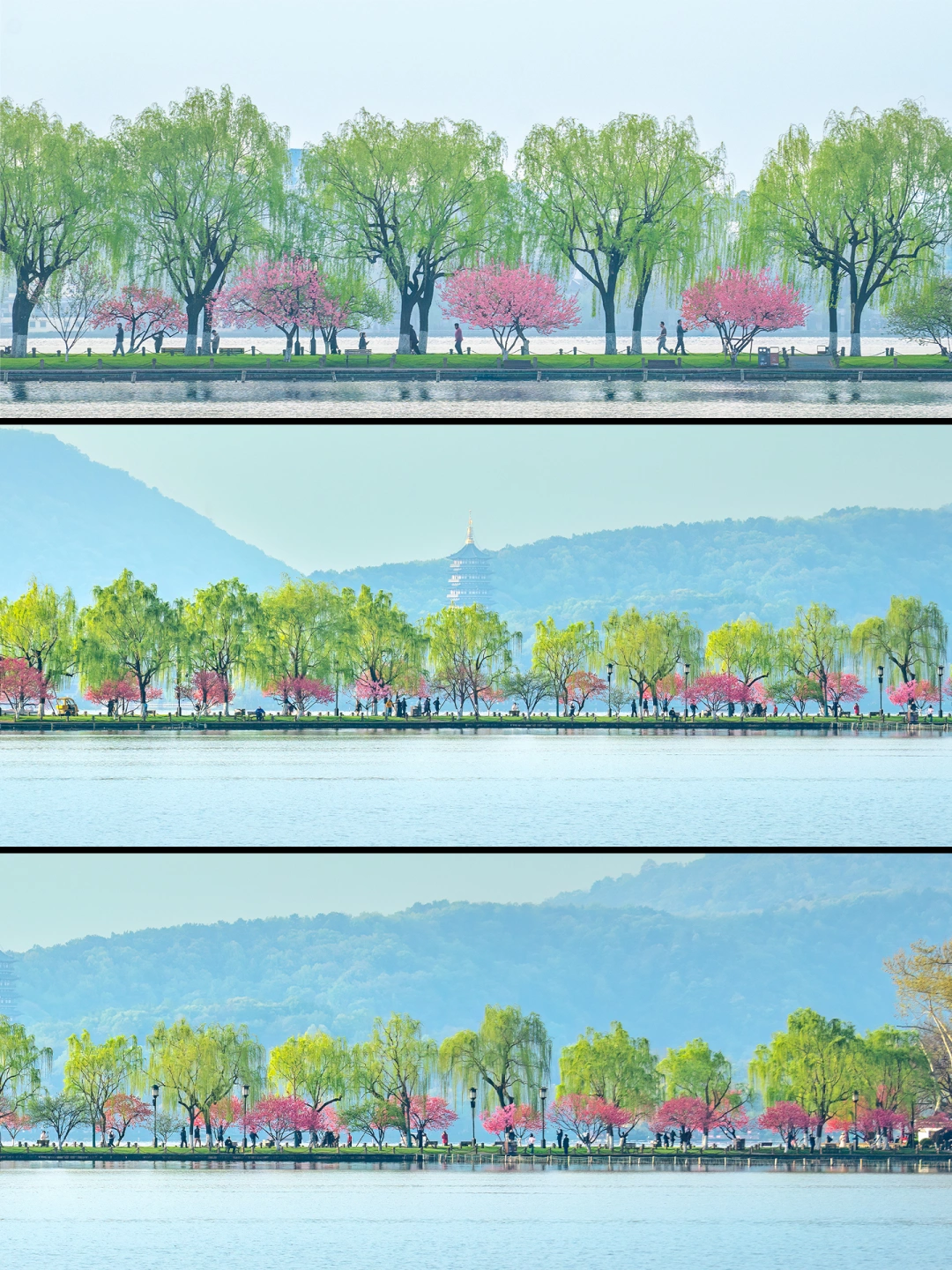 杭州西湖｜白堤的桃红柳绿具象化了！！