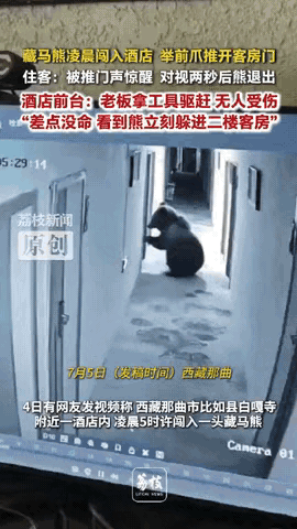 西藏那曲，游客在酒店睡觉，凌晨五点多房门突然被打开了，他刚要发火，下一秒却吓出一