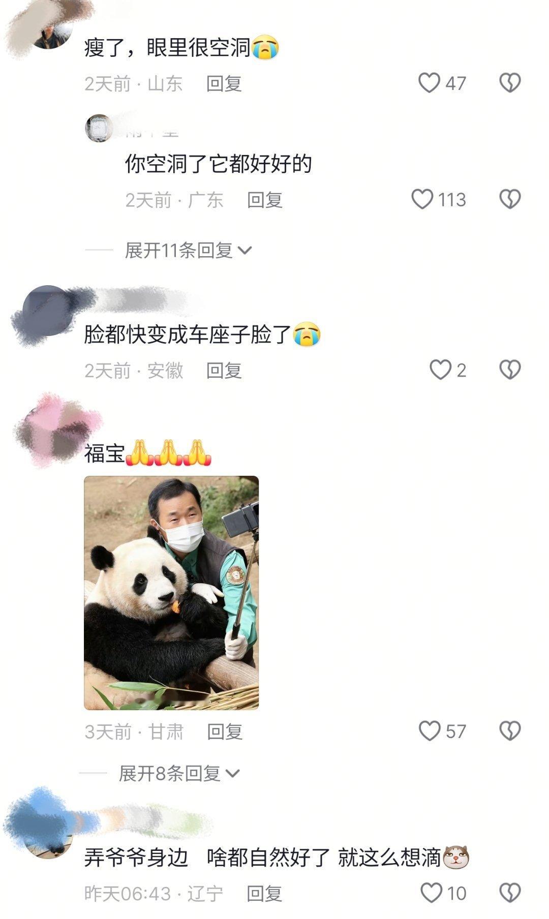 福宝溜达着去外圈散步玩耍 不儿，这评论区认真的吗？？？棒子粉爷爷粉真可怕[微笑]