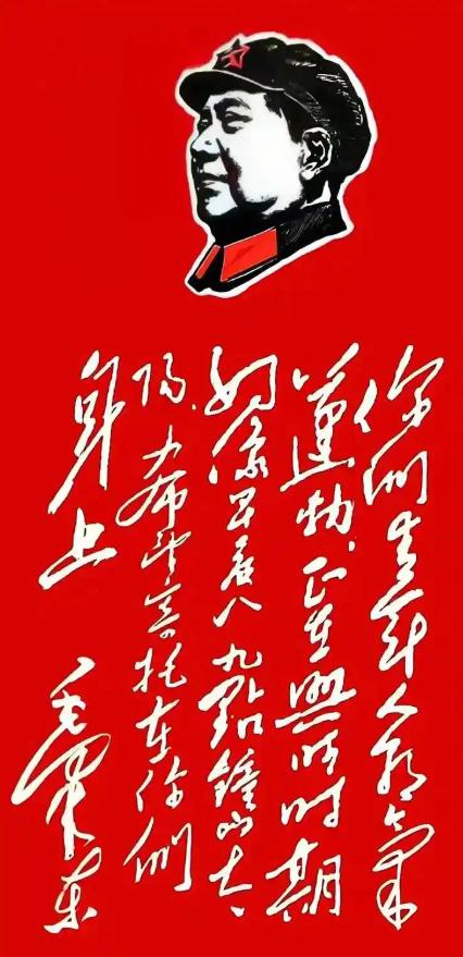 毛主席的这段话，我反多看了十几二十遍，还是没能完全读出来。不知是不是我文化太肤浅