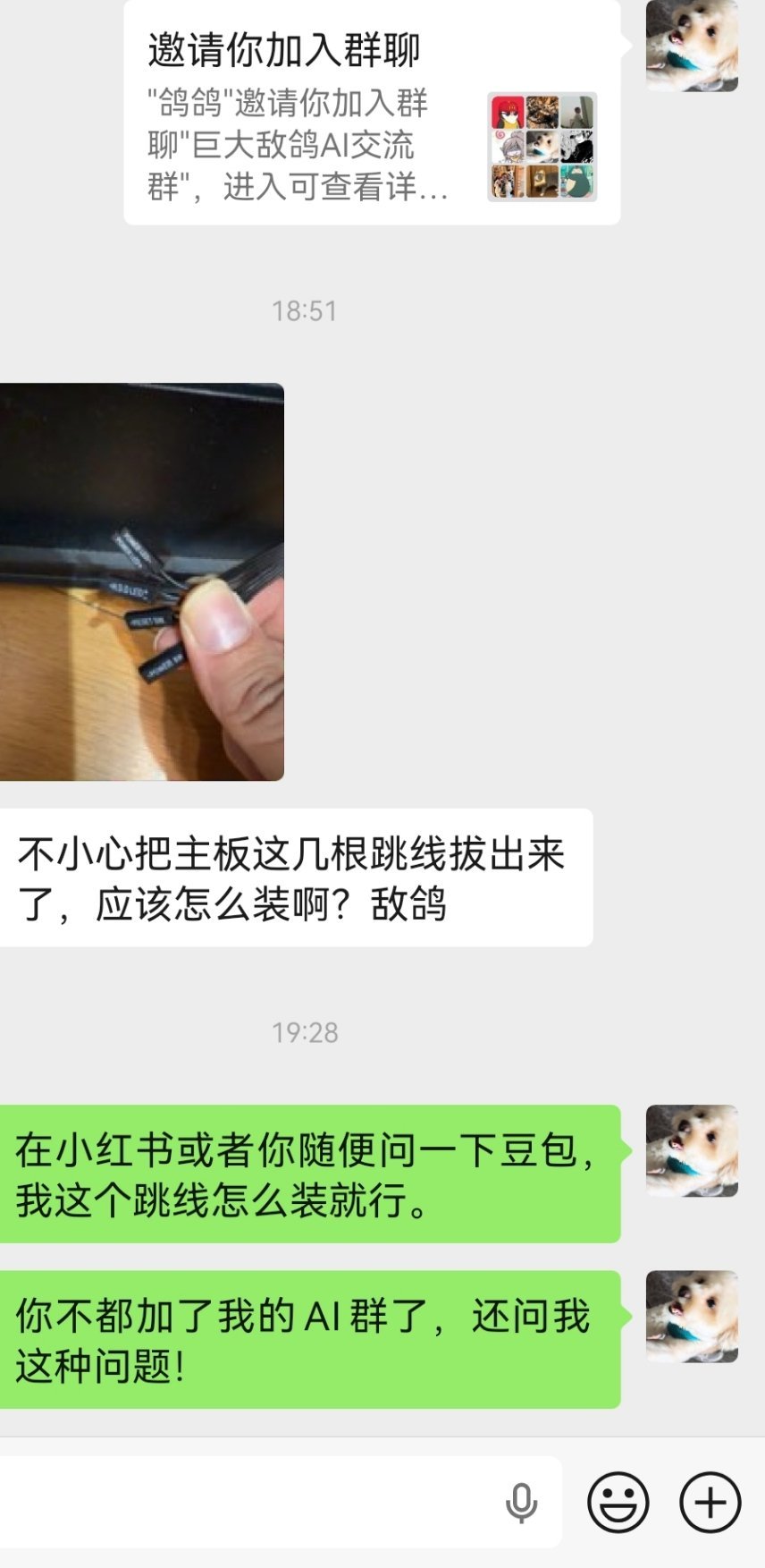 不合格的AI群友现在其实很多问题在你想麻烦朋友的时候先问问AI也许更省事，除非你