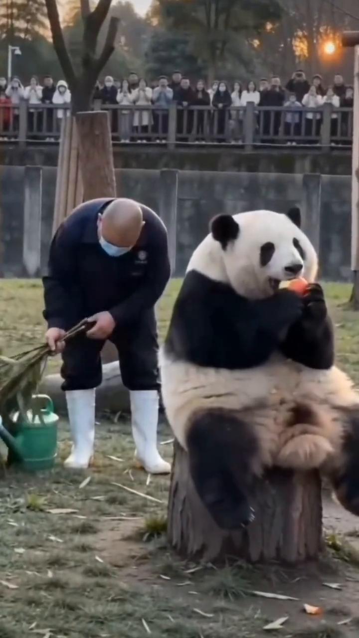 花花真搞笑。