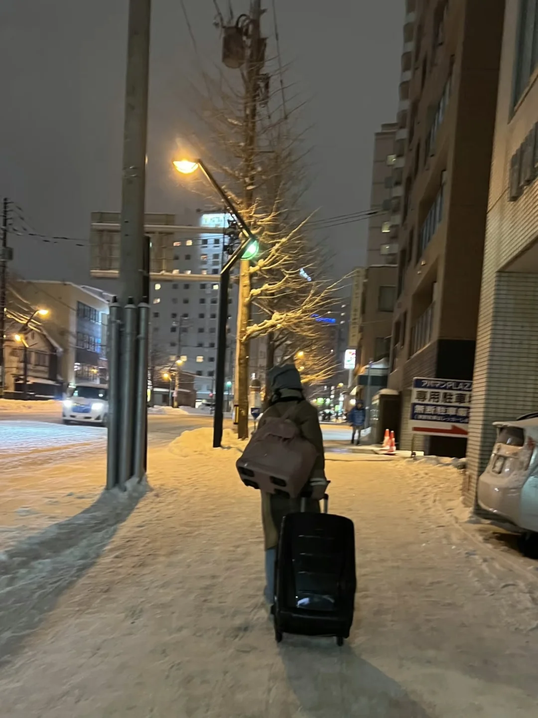 北海道看雪已回（已被宰😭，说点真相
