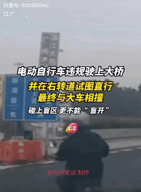 广州一男子驾驶电动自行车在鹤洞大桥违规行驶，欲学前一阵的精神小妹，硬刚混凝土车，