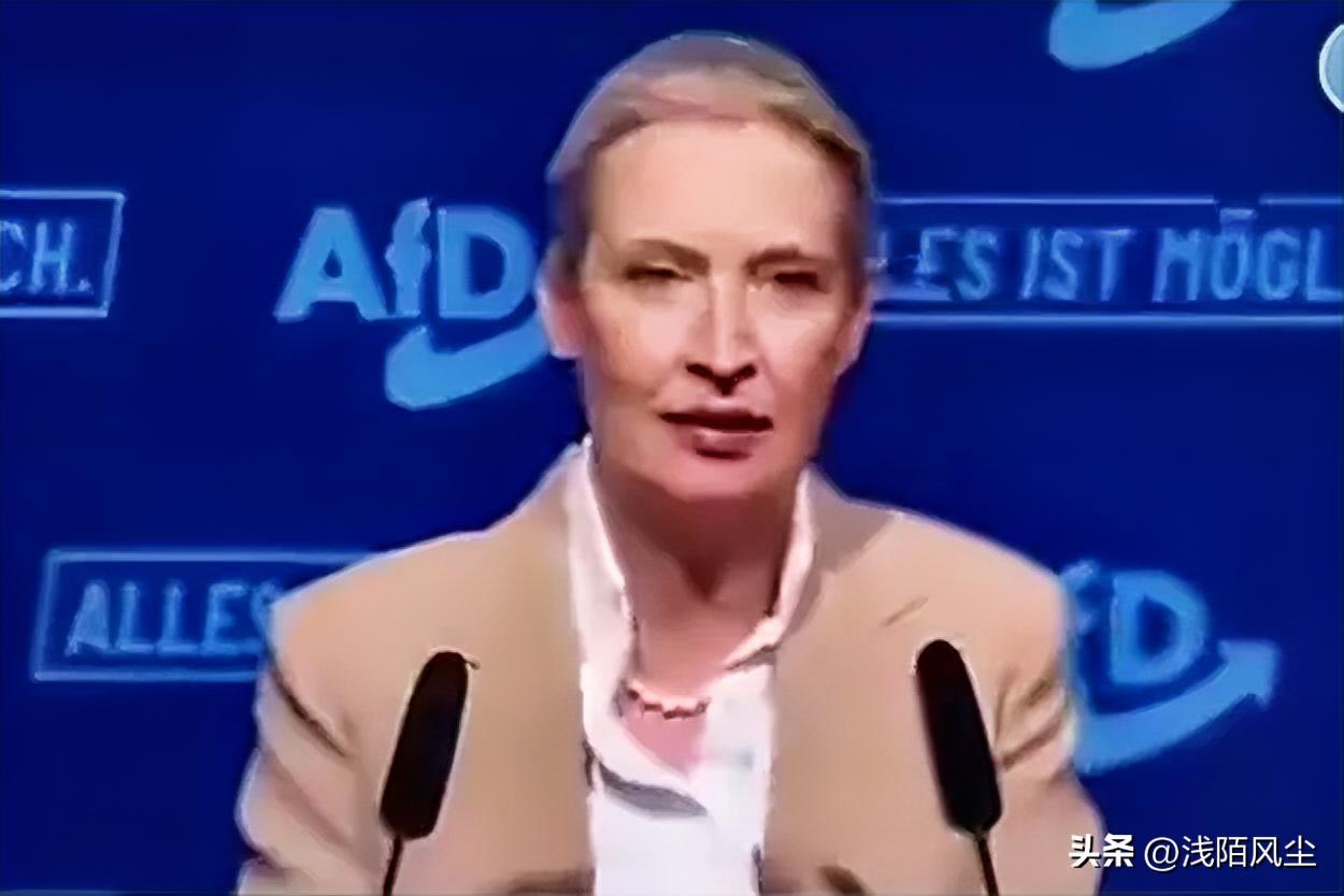 德国选择党（AfD）领导人魏德在讲话中表示，该党一旦进入政府，将致力于实现乌克兰