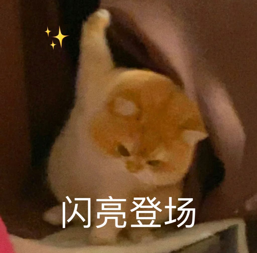 这几天应该会发最终的年终总结 大家记得来玩呀～～～