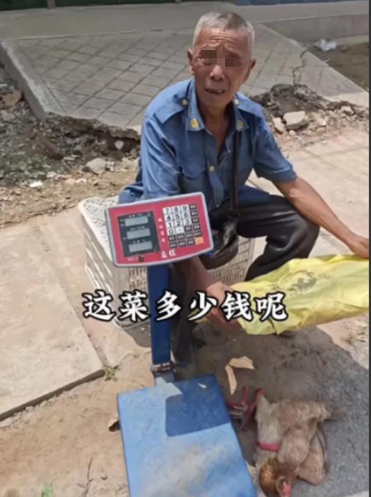 2024年山东，儿子10多年前车祸去世，儿媳跟着人跑了！78岁大爷独自抚养孙子长