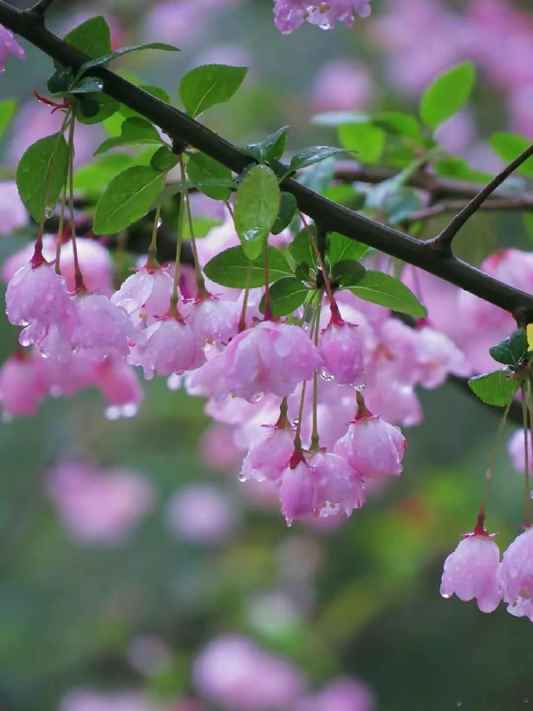 经常挂在嘴边，却不会写的字！1、搲（读音：wǎ）含义：舀的意思。举例：搲一瓢米煮
