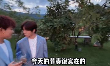 苏醒和陆虎，俩小抠儿的日常聊天[捂脸]
苏醒担任了陆虎婚礼的主持人，到底有没有报