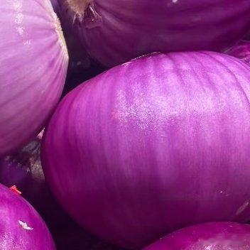 2000洋葱的种植方法一、品种选择：根据当地气候和种植季节选种，如在长江流域，可