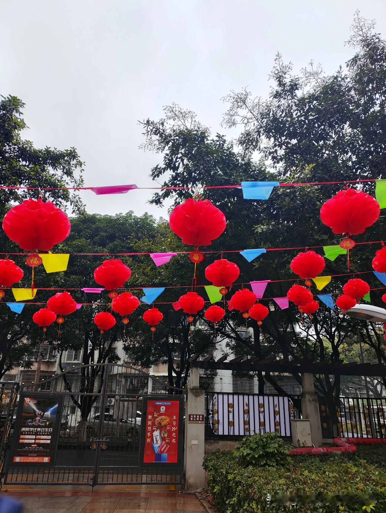 #评论区送祝福#龙行虎步，龙年大吉！