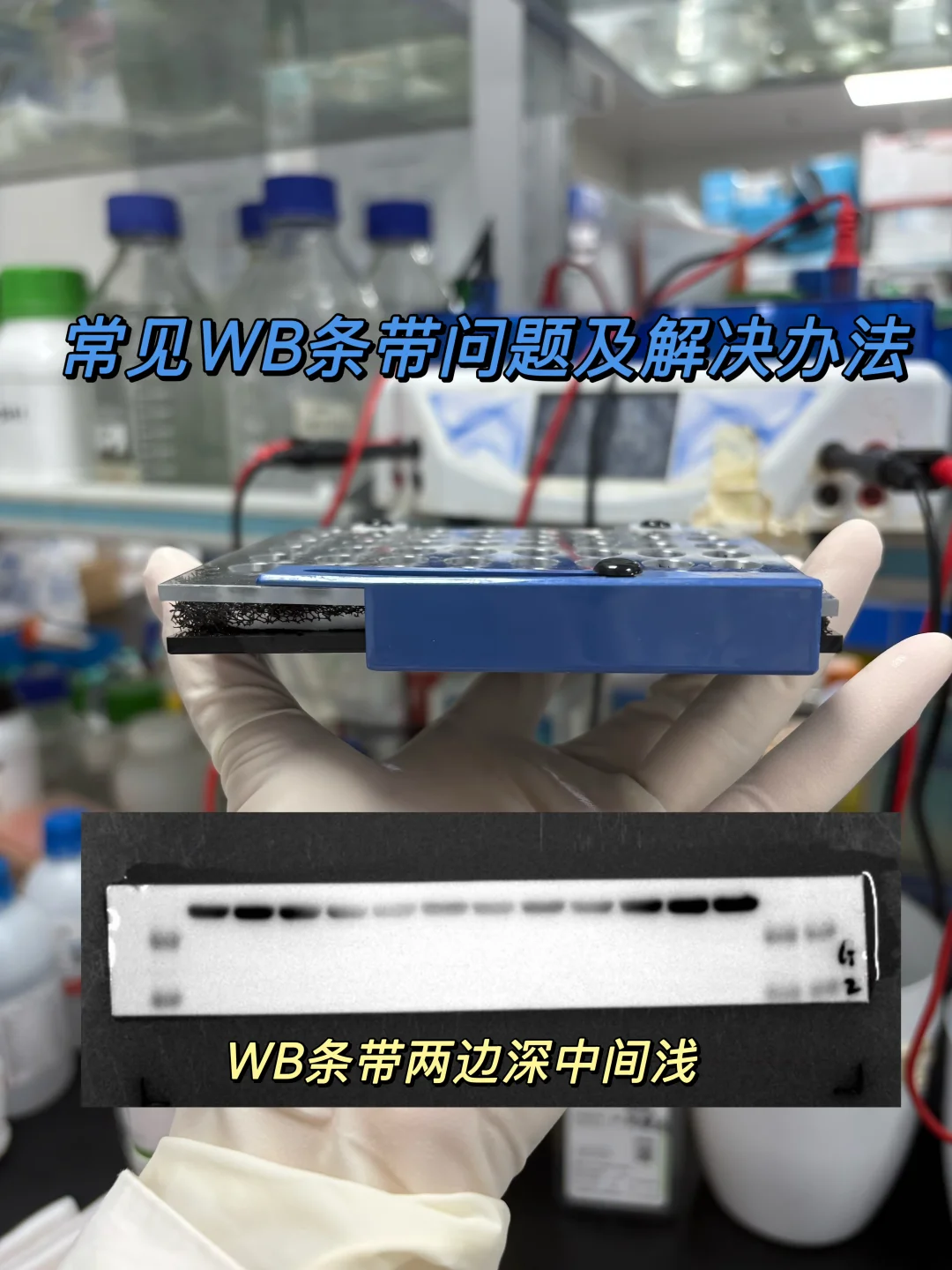 常见WB条带问题及解决方法（两边深中间浅）❗