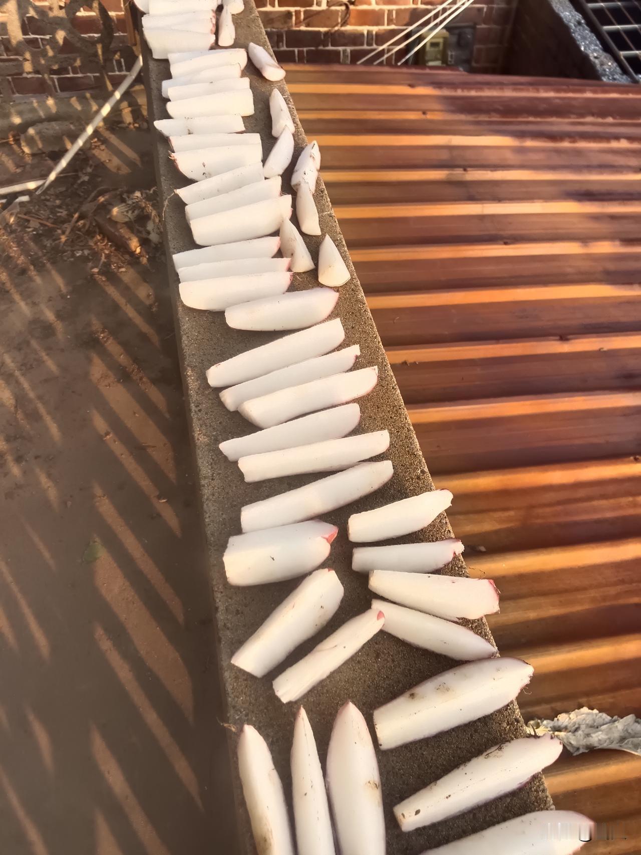 天空有泪云先知
 年轻自买房/墙角的拐杖，积了薄薄的尘/日历撕到腊月，也等不来推