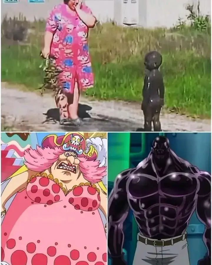 哈哈哈哈哈 