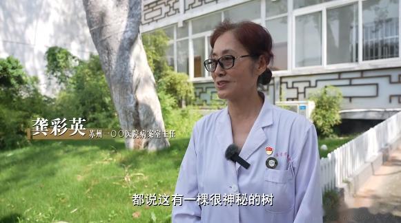 苏州人真厉害！
明朝画家画的一棵松树，居然被他们在现实生活中找到了。
明朝末年，
