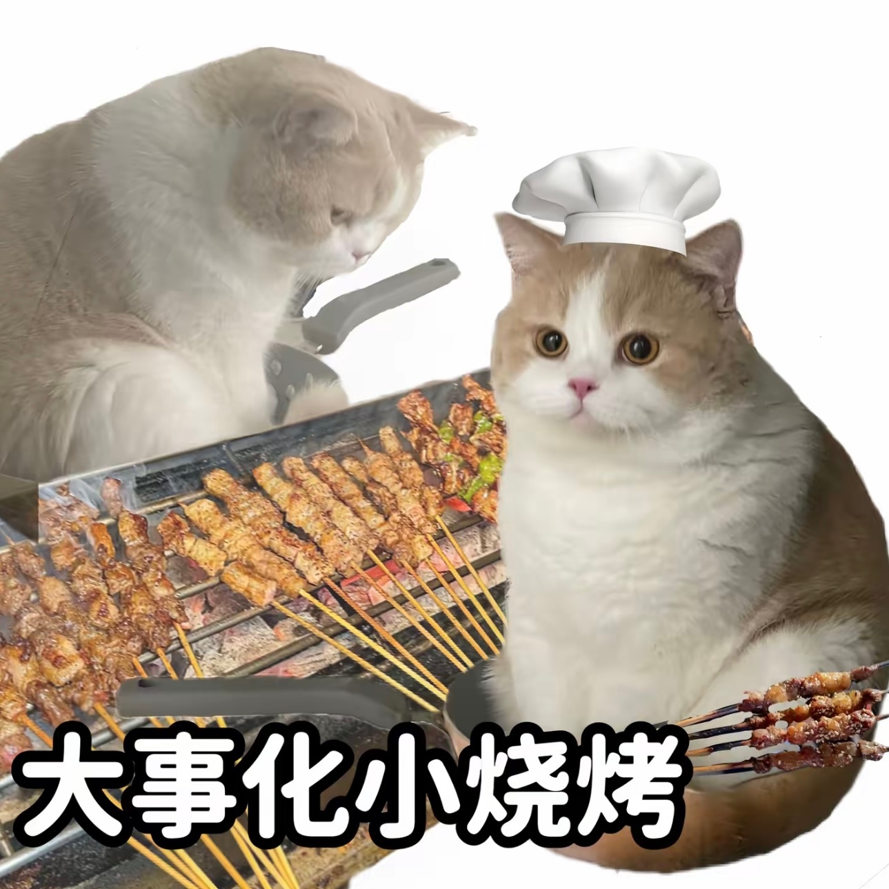 别人是腹有诗书气自华，我是腹有火锅奶茶小烧烤 ​​​