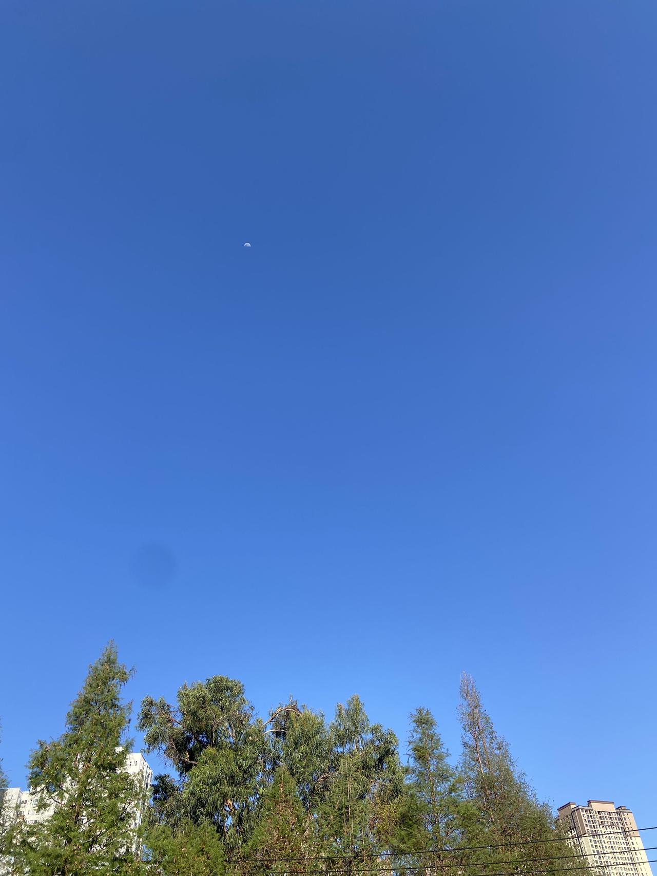 每每散步的时候，看着昆明蓝蓝的天空都很感慨，蓝的无一丝白云，当看到白云的时候，说