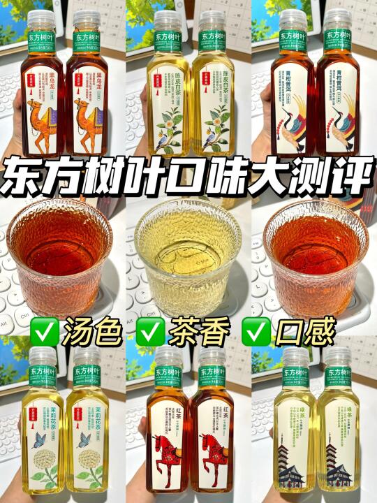 🔥东方树叶到底哪款最好喝？全口味大测评！！