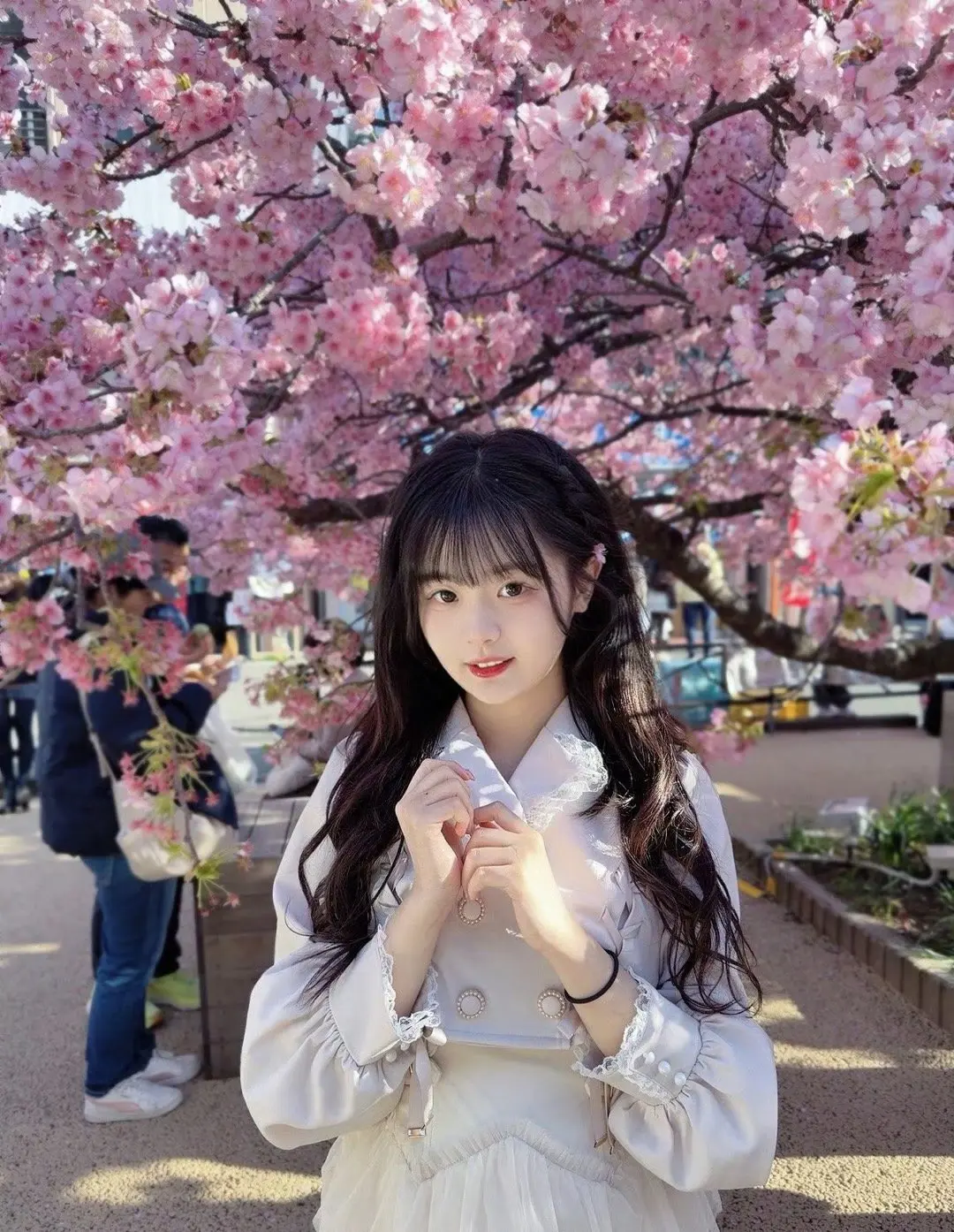 黄怡慈 赏樱花🌸