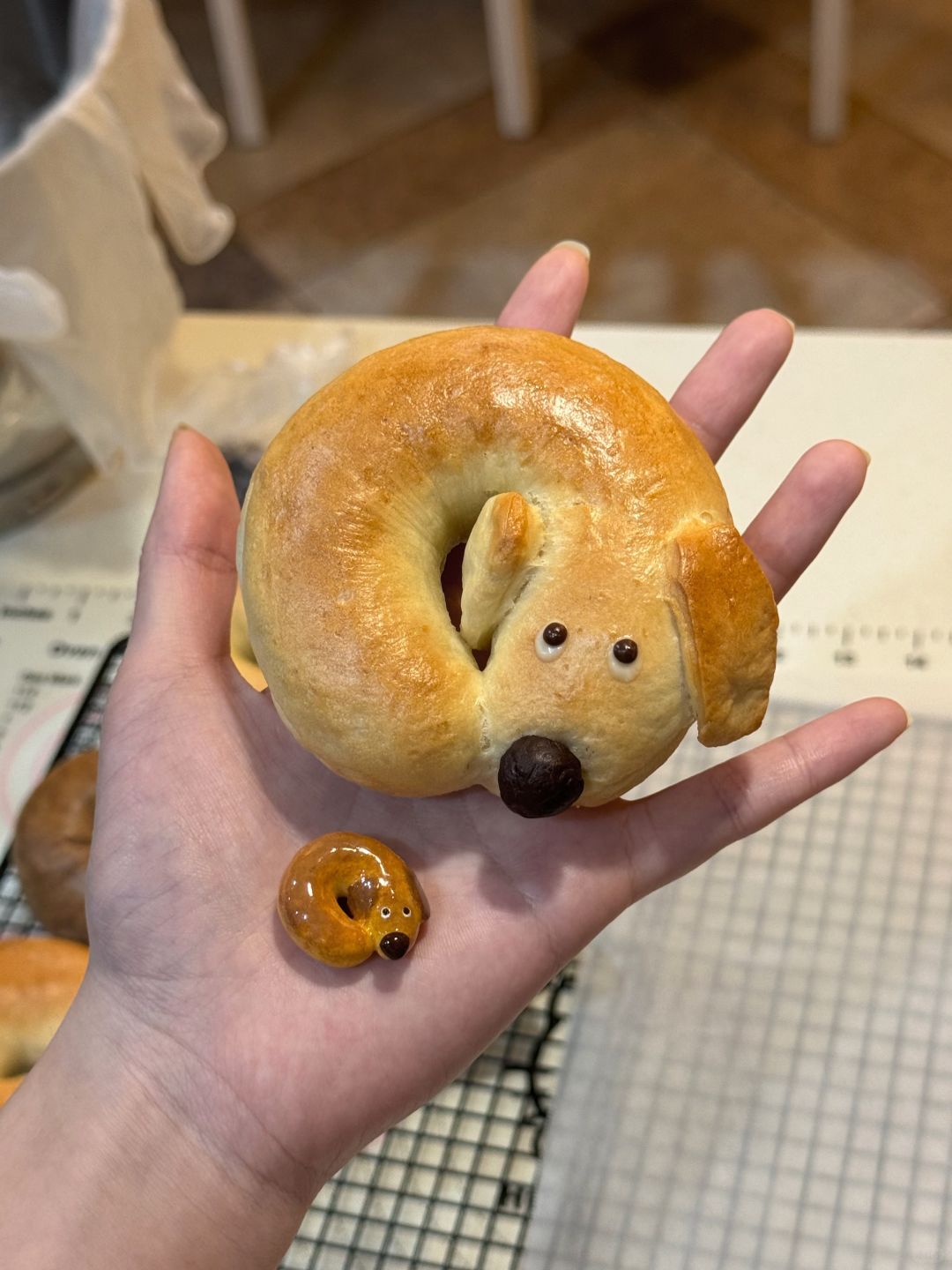 贝狗 