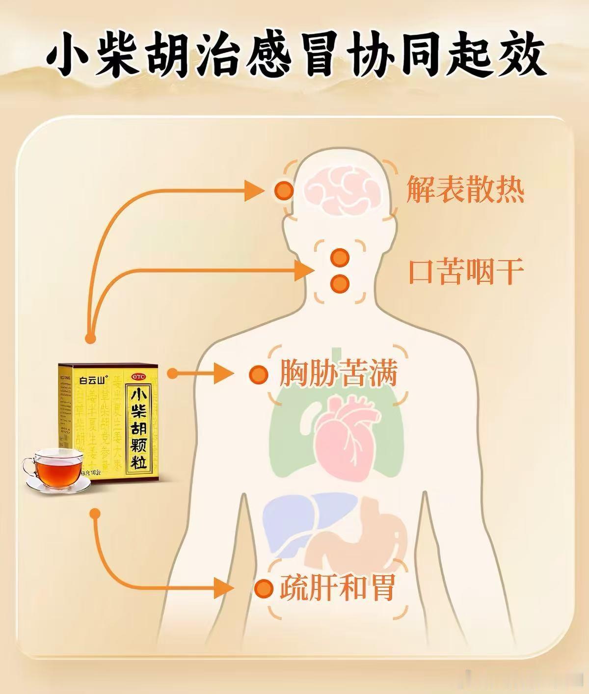 白云山小柴胡护航进球欢呼时刻小柴胡护肝胃熬夜看球好搭子 世界杯赛事热度居高不下，