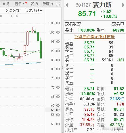 20万股东吃了个跌停，赛力斯跌停了。
从动作上来看，这是机构行为，而且是大机构的