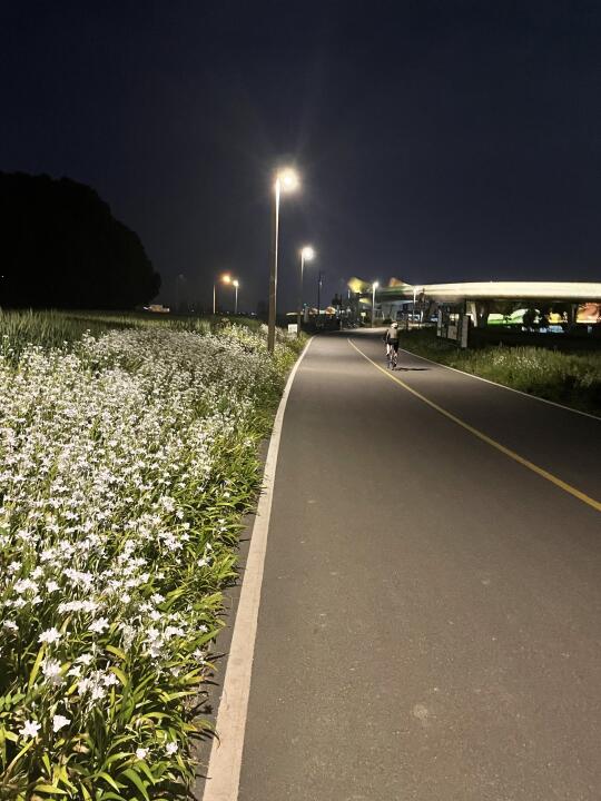 适合跑步锻炼的季节。🏃‍♀️动起来✅