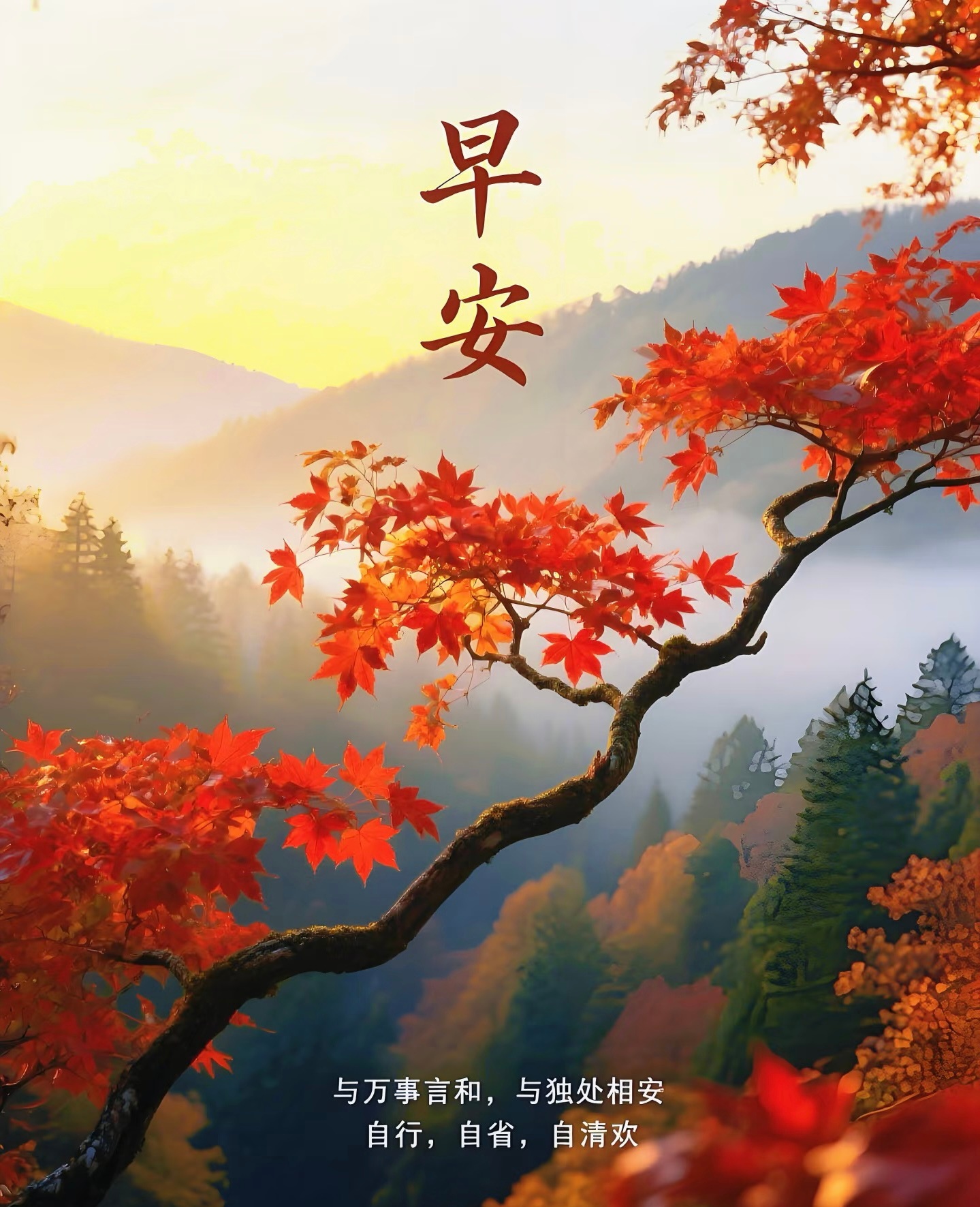 心若清净，自在从容！日子慢慢铺陈，福气悄悄积攒，祝我，祝我们一没病，二没灾，小小