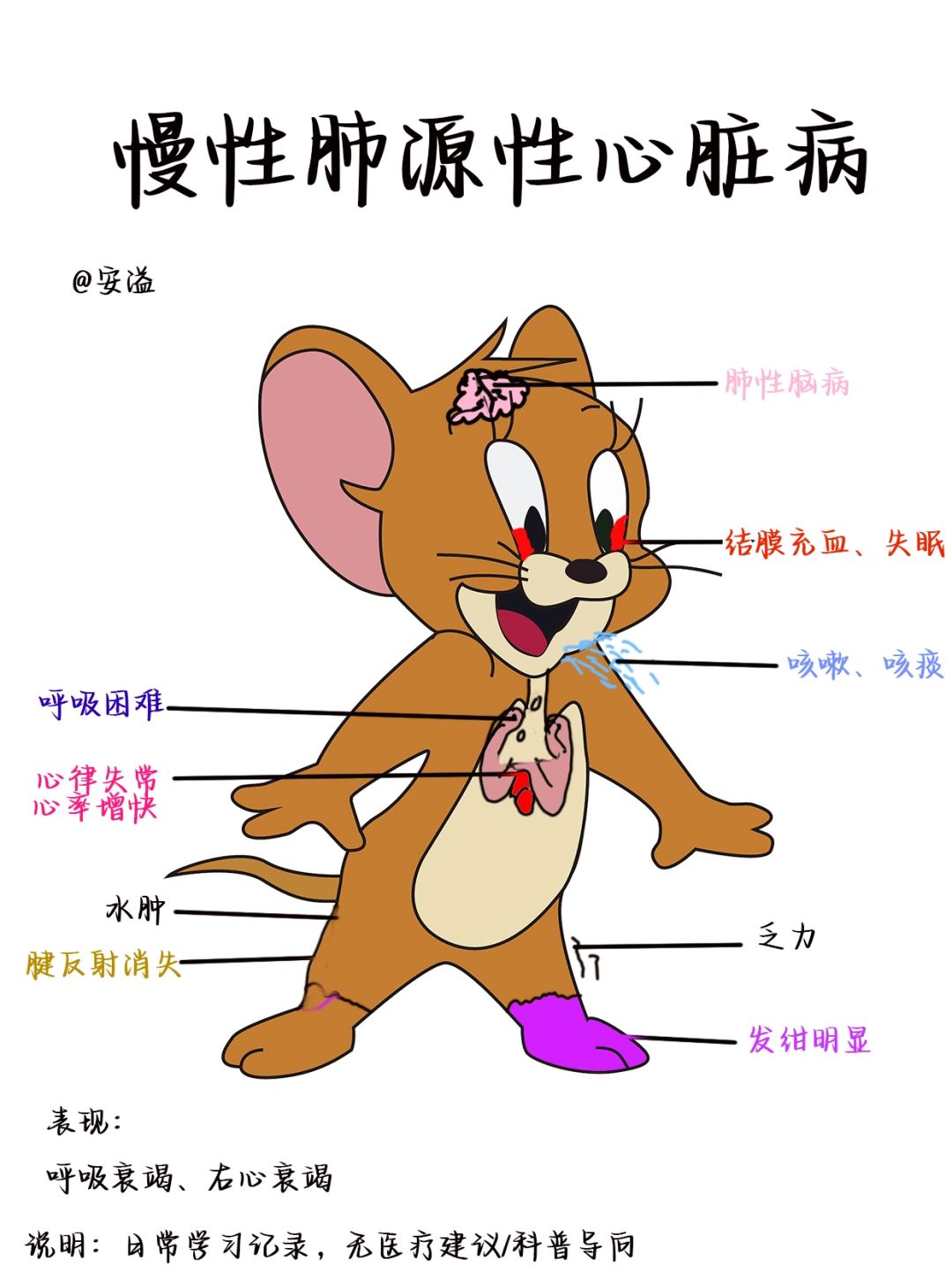 医学生绘本笔记‖慢性肺源性❤️脏并